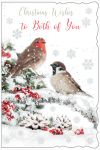 Christmas Card - Both of You - Robin Berries - Glitter - Out of the Blue