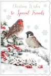 Christmas Card - Special Friends - Robin Berries - Glitter - Out of the Blue