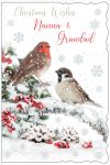 Christmas Card - Nanna & Grandad - Robin Berries - Glitter - Out of the Blue