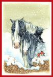 Christmas Card Pack - 6 Cards - Xmas Ponies - Gift Envy