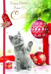 Christmas Card - From The Cat - Grey Kitten Playing - Gift Envy
