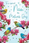 Mother's Day Card - Special Nan - Birds - Glitter - Regal