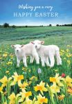 Easter Card - Happy - Lamb Daffodils - Regal