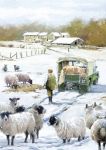 Christmas Card - Feeding Sheep Land Rover - Country Cards