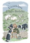 Birthday Card - Grandpa - Dinner Time Picnic - Funny Gift Envy