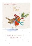 Christmas Card - Nan - Robin Friend - Wildlife Ling Design