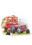 Birthday Card - Tractor & Trailer - Red Massey - Country Cards