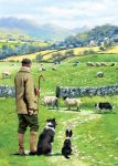 Birthday Card - The Shepherd Sheep Dog - Country Cards