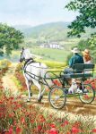 Birthday Card - Horse & Trap Carriage - Country Cards