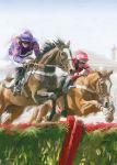 Birthday Card - Horse Racing Hurdles - Country Cards