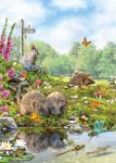 Birthday Card - Hedgehogs - Country Cards