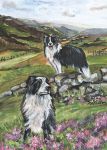Birthday Card - Collie Dog Among Heather - Country Cards