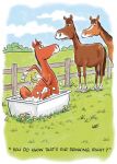 Birthday Card - Horse Bath Water Trough - Funny - Country Cards
