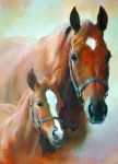 Birthday Card - Mare & Foal Horse - Country Cards