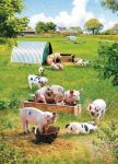 Birthday Card - Out in the Sunshine Pigs Farm - Country Cards
