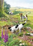 Birthday Card - Jack Russell Dog Digging - Country Cards