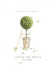 Birthday Card - You're the Best by Par Golf - Gardener's Bothy Ling Design