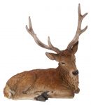 Stag Laying - Lifelike Garden Ornament - Indoor or Outdoor - Real Life Vivid Arts