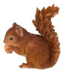 Baby Red Squirrel - Lifelike Garden Ornament - Indoor or Outdoor - Real Life Vivid Arts