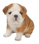 Bulldog Puppy Dog - Lifelike Ornament Gift - Indoor or Outdoor - Pet Pals Vivid Arts