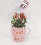 Artificial Pink Rose Flower & Mum In a Million Mug Gift Set