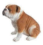 English Bulldog Dog - Lifelike Garden Ornament - Indoor or Outdoor - Real Life Vivid Arts