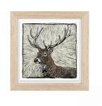 Red Stag - Wall Art Print Framed - Charlotte Oakley 