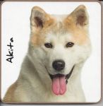Akita Dog Coaster