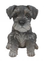 Miniature Schnauzer Puppy Dog - Lifelike Ornament Gift - Indoor or Outdoor - Pet Pals Vivid Arts
