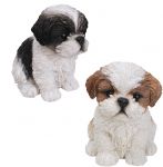 Shih Tzu Puppy Dog - Lifelike Ornament Gift - Indoor or Outdoor - Pet Pals Vivid Arts