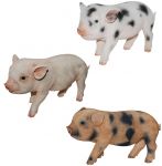 Micro Pig Piglet - Lifelike Ornament Gift - Indoor or Outdoor - Pet Pals Vivid Arts