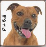 Pit Bull Dog Coaster - Dog Lovers