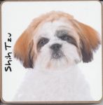 Shih Tzu Dog or Puppy Coaster - Dog Lovers - 3 Designs 