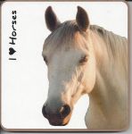 Connemara Pony Horse Coaster - I love Horses 