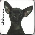 Chihuahua Black Dog Coaster - Dog Lovers