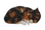 Cat Sleeping Tortoise Shell - Lifelike Garden Ornament - Indoor or Outdoor - Real Life