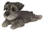 Miniature Schnauzer Laying Puppy Dog - Lifelike Ornament Gift - Indoor Outdoor - Pet Pals