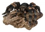 Tarantula Spider - Lifelike Garden Ornament - Indoor or Outdoor - Real Life
