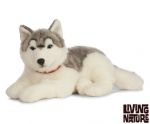 Giant Husky Dog Plush Soft Toy - 60cm - Living Nature