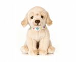 Golden Labrador Puppy Dog Plush Soft Toy - 26cm - Living Nature