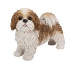 Shih Tzu Dog - Brown Standing Lifelike Garden Ornament - Indoor or Outdoor - Real Life Vivid Arts