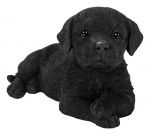 Labrador Black Laying Puppy Dog - Lifelike Ornament Gift - Indoor Outdoor - Pet Pals
