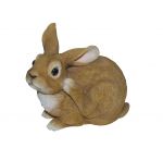Rabbit Sitting - Lifelike Garden Ornament - Indoor or Outdoor - Real Life Vivid Arts