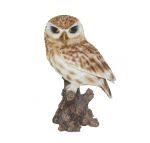 Little Owl - Lifelike Garden Ornament - Indoor or Outdoor - Real Life