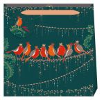Robins Bird on Wire Green Gift Bag - Medium - Sara Miller