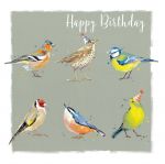 Birthday Card - Birds Garden Companions The Wildlife Ling Design