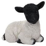 Vivid Arts Blackface Lamb Sheep Sitting - H17cm Lifelike Home Garden Ornament