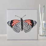 Greetings Card Open - Butterfly Watercolour