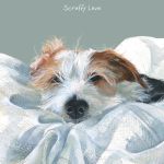Scruffy Love Wire Hair Jack Russell Card - The Little Dog 