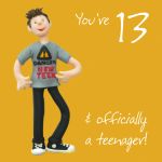 13th Male Birthday Card - Teenager Danger New Teen One Lump Or Two